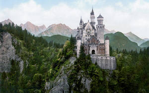 Neuschwanstein Castle Green Forest Trees Wallpaper