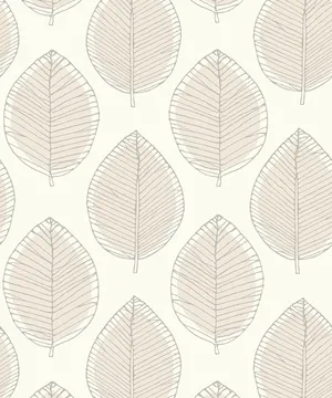 Neutral Iphone Leaf Sketch Wallpaper