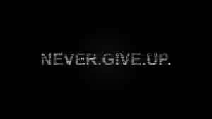 Never Give Up Wallpapers Hd Wallpaper