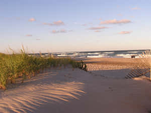 New England Summer Beach Vibe Wallpaper