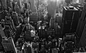 New York Hd Black And White Skyscrapers Wallpaper