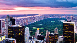 New York Skyline, Buildings, And Central Park Wallpaper