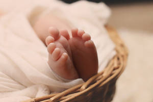 Newborn Baby Girl Basket Wallpaper