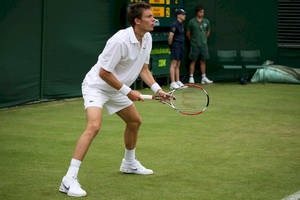 Nicolas Mahut Ready Stance Wallpaper