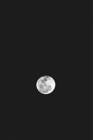 Night Aesthetic Full Moon Wallpaper