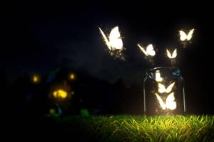 Night Butterfly In A Glass Jar Wallpaper