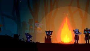 Night In The Woods Campfire Wallpaper