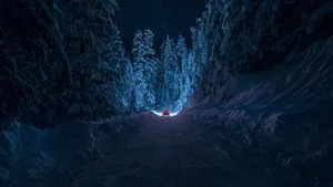 Night Road Aesthetic Dark Blue Hd Wallpaper