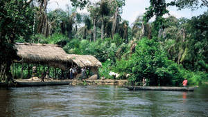 Nipa Hut In Forest Congo Wallpaper