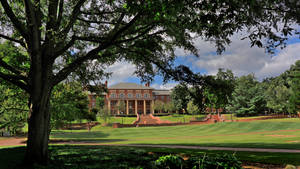 North Carolina State University Green Space Wallpaper