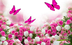 Nothing Compares To The Beauty Of A Bouquet Of Red Roses! Wallpaper