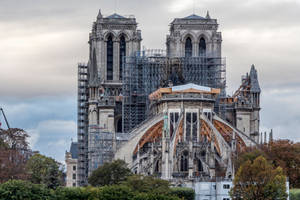 Notre Dame From The Back Wallpaper