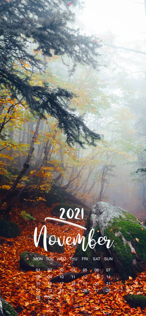 November 2021 Calendar Foggy Forest Wallpaper