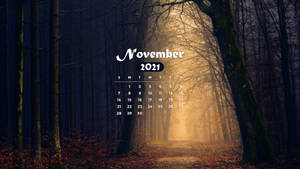November 2021 Calendar Gloomy Forest Wallpaper