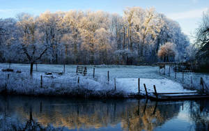 November Frost Forest Lake Wallpaper