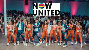 Now United Crazy Stupid Silly Love Wallpaper