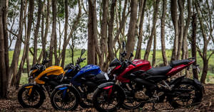 Ns 200 Motorcycles In Forest Wallpaper