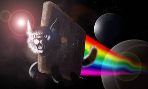 Nyan Cat Space Funny Meme Wallpaper