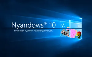 Nyandows 10 Cat Meme Wallpaper