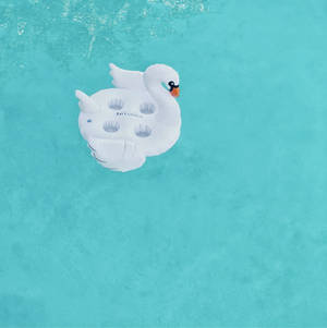 Ocean Blue Water White Goose Floater Wallpaper