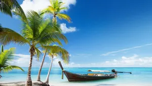 Ocean Palm Trees Boat In Beach Wallpaper