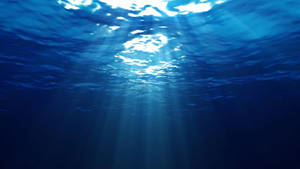 Ocean Underwater Light Wallpaper