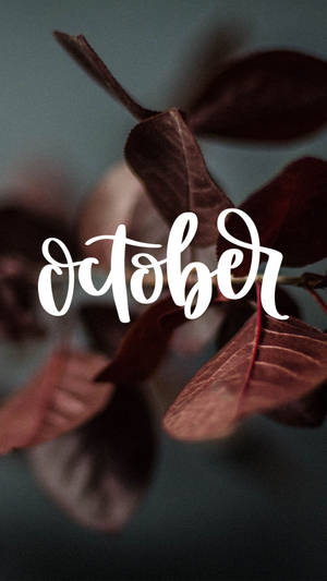 October Aesthetic Calligraphy Leaves Wallpaper
