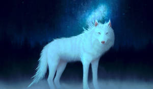Off White Night Wolf Wallpaper