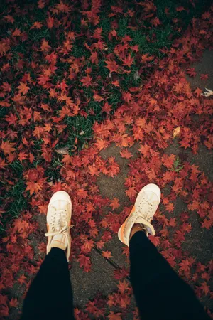 Off White Shoes On Leaves Wallpaper