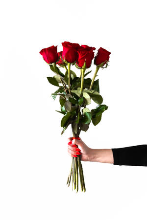 Offering Romantic Roses Wallpaper