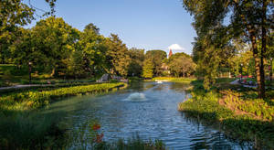 Ohio State University Sunny Mirror Lake Wallpaper