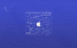 Old Mac, A Diverse Ecosystem Of Rural Life Wallpaper