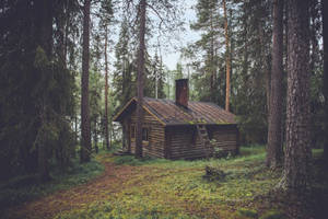 Old Wooden House With Trees Wallpaper
