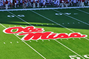 Ole Miss Football Field Wallpaper