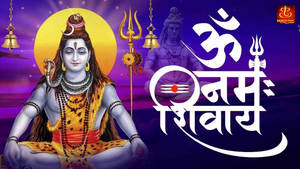 Om Namah Shivaya Sitting Shiva Wallpaper