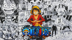 One Piece With Luffy Funny Poster Wallpaper