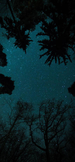 Oneplus Starry Night Sky Wallpaper