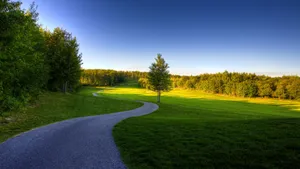 Open Green Grass Field Under Clear Blue Sky Wallpaper