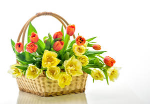 Orange And Yellow Tulips In Basket Wallpaper