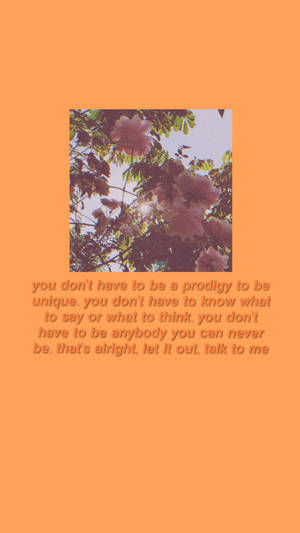 Orange Cavetown Wallpaper