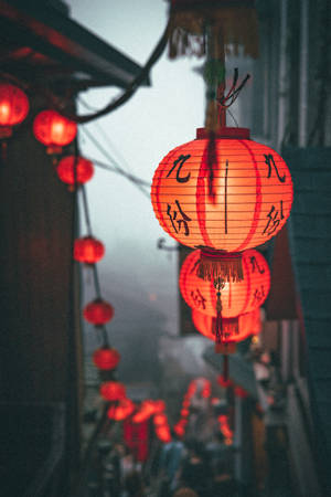 Orange Chinese Lanterns Wallpaper