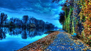 Orange Foliage Along The Riverside Wallpaper