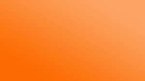 Orange Is The New Black Wallpaper