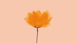 Orange Minimalist Flower Computer Wallpaper