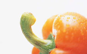 Orange Pepper Pedicel Extreme Close Up Shot Wallpaper
