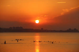 Orange Sky Sunrise Nature Wallpaper