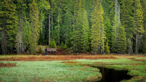 Oregon Nature Landscape Wallpaper
