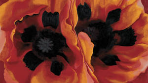 Oriental Poppies At Tate Modern Wallpaper