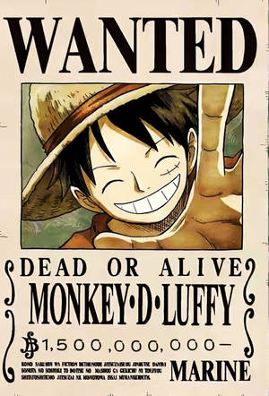 Original Monkey D Luffy Pfp Wanted Poster Wallpaper