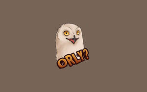 Orly Owl Funny Meme Wallpaper